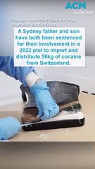 Father and son’s plot to distribute 56kg of cocaine foiled