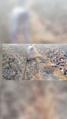 Foundation Kadai Work | Real Construction Site | Hard Work Daily Life