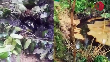 Comunidades indígenas Awajún de Manseriche toman la Estación 5 del Oleoducto Norperuano