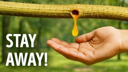 Nature’s Red Flags You Shouldn’t Ignore