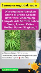 alasannya tidak boleh menerbangkan drone di bromo #bromo