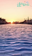 A CEO allergic to women finally finds “the one” who makes him want to marry.