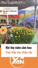 Khi thợ vườn cắm hoa