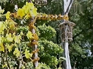 Những Ca Khúc Tết Sôi Động 3 (2010) - Quang Hà, Mắt Ngọc