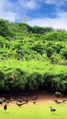 Soothing Waterfall Ambience 🌊🍃 | Peaceful Nature in 4K