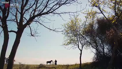 مسلسل المؤسس عثمان - الحلقة 189 - كاملة مع الترجمة