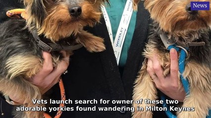 Milton Keynes Citizen Morning Update 25 April, 2025
