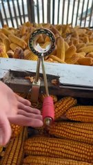How to crack corn so easy tip