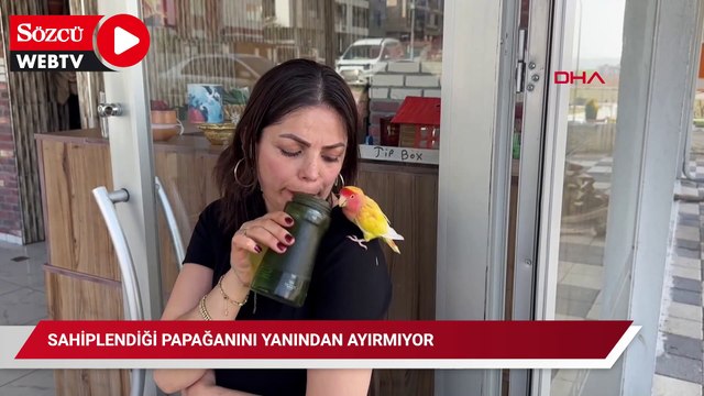 Yanından ayırmadığı papağını bir insan ne yaparsa onu yapıyor