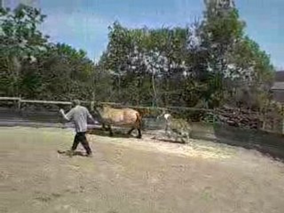 8mai2008 lea ulson 002