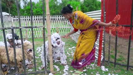 Very_Special_Trending_Funny_Comedy_Video_2025_😂Amazing_Comedy_Video_2025 / Funny video / funny / very funny video / entertainment video / comedy video / funnnnny