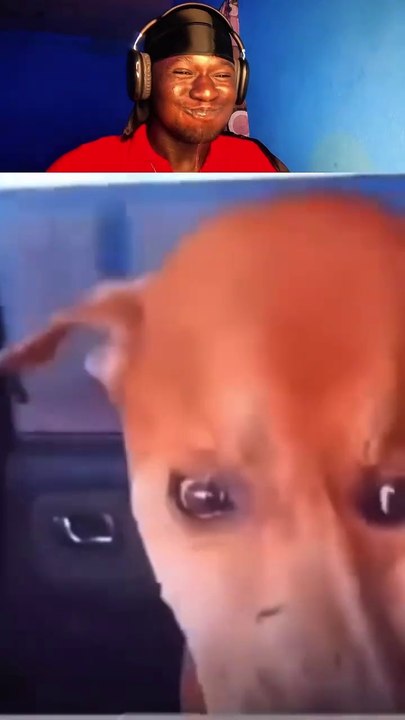 Try Not To Laugh 😂🤣 challenge part 41 | Hilarious Moments That Will Have You Cracking Up! 😆