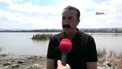 Herkesin gözü gökyüzünde: Türkiye'nin en sevimli göçmenleri hala gelmedi