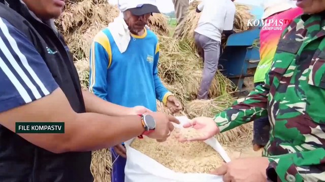 Hoax Video Proses Pembuatan Beras Plastik | NEWS OR HOAX