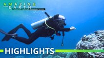 Amazing Earth: Ang mommy ranger ng karagatan sa Palawan!