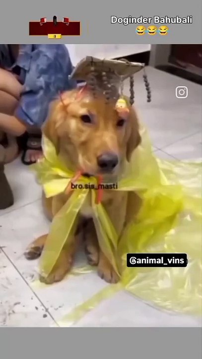 Dogindar bahubali