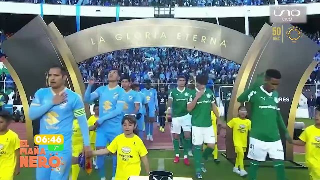 BOLIVAR PALMEIRAS