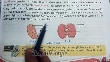 Reproduction In Plants | Class 5 Science | Chapter 1 | Olive Tree Publication | Deepalie Tayle