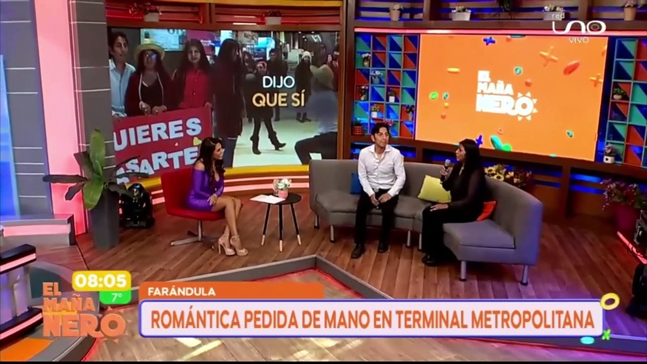 PEDIDA DE MANO