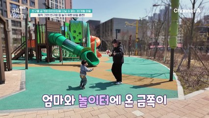 "그만!" 공격성을 줄이고, 친구와 잘 놀기 위한 훈련! 사고뭉치 금쪽이는 잘 해낼 수 있을까?