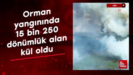 ABD'de orman yangınında 15 bin 250 dönümlük alan kül oldu