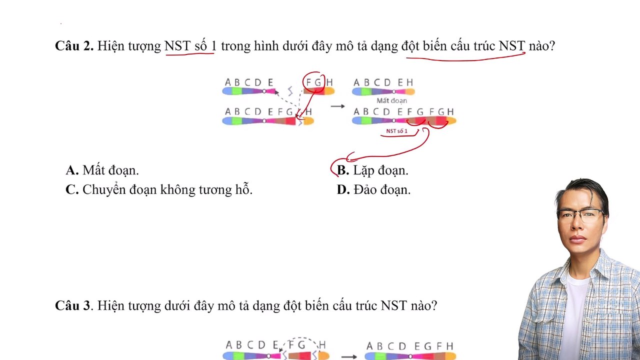 Sinh 12 - Chuyên đề Đột biến Nhiễm sắc thể - Cơ bản