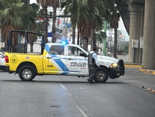 Incendio de palma provoca cierre vial y daños a cableado en Monterrey