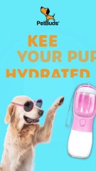 Leak Proof Dog Water Bottle With Portable Food & Poop Bag Dispenser