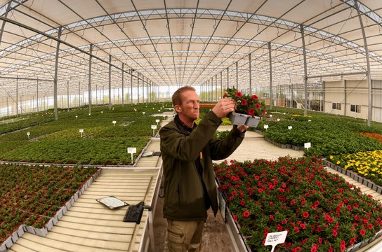 The Arium: Leeds Council garden centre using 'potting robot'