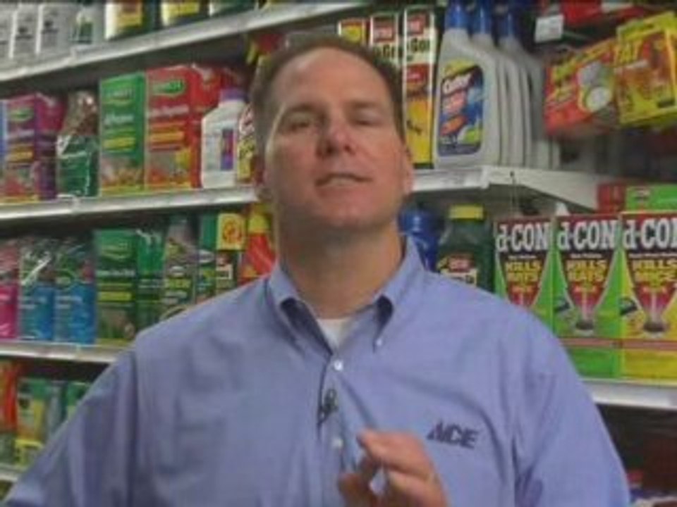Need help in pest control?