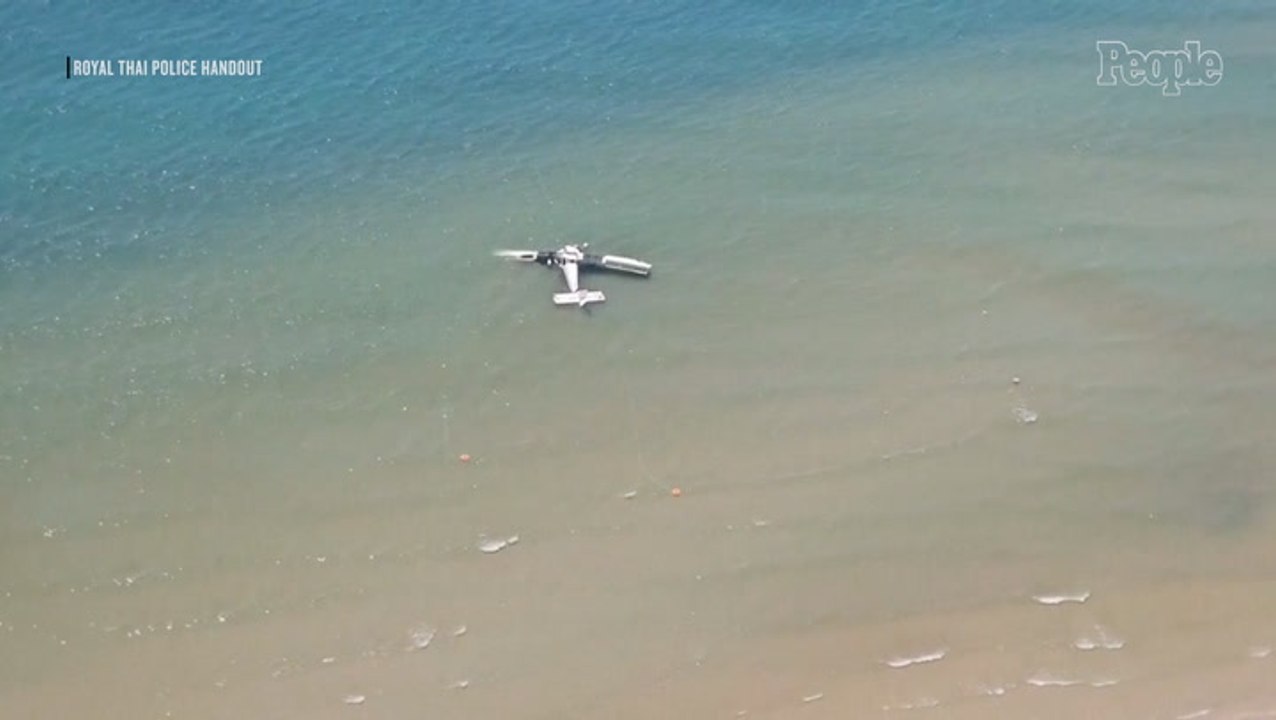 5 Police Officers Killed After Plane Crashes into Ocean Near Popular Beach Town