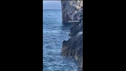 Massa Lubrense, le immagini dell'avvistamento della foca monaca