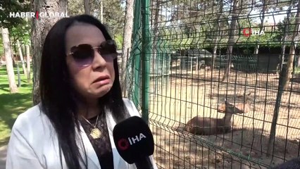 Çekmeköy Hayvanat Bahçesi'ndeki hayvanlar depremde panikle koştu