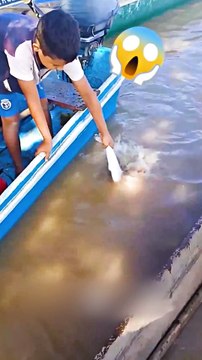 Pourquoi ces dents sont si dangereuses ?