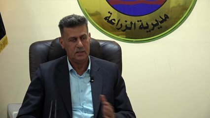 ريّ الحنطة يهدّد باستنزاف المياه الجوفية في صحراء العراق