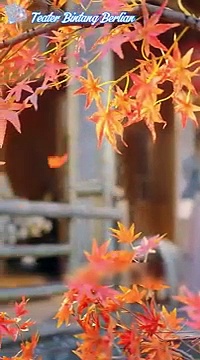  Putri tersembunyi dendam dan cinta full episode