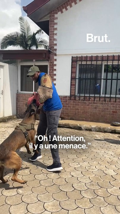 C'est mon métier : instructeur cynophile