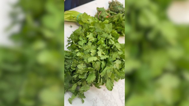 My Secret For Storing Herbs So You Can Stop Buying Them Every Other Day