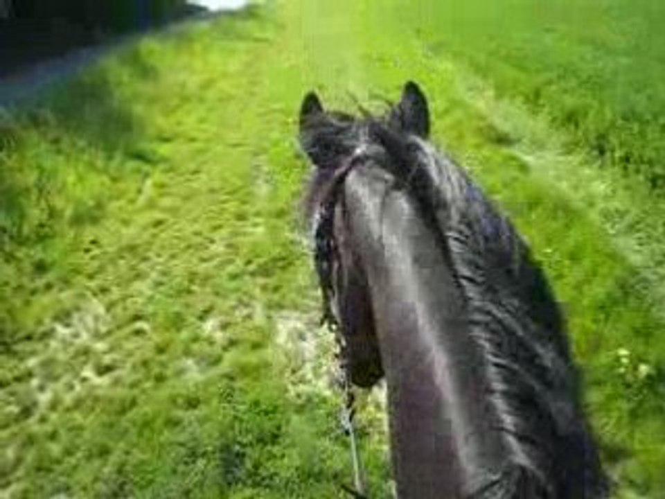 Ballade à cru sur ma PS