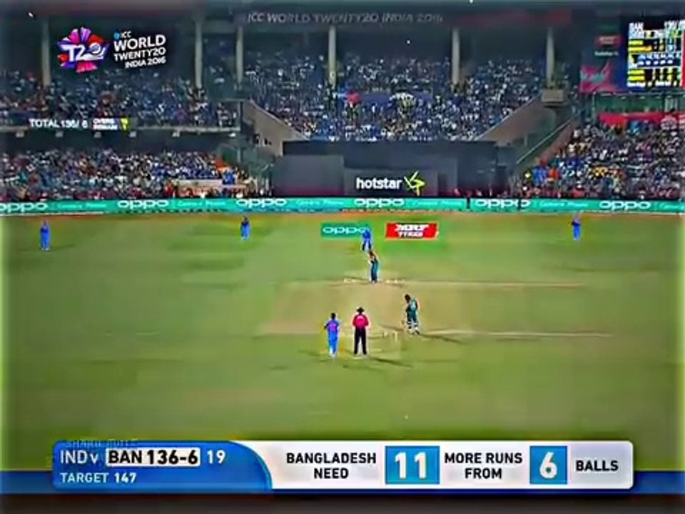 King Cricketer