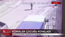 Ankara’da sokak köpeklerinin kovaladığı bir çocuk yaralandı