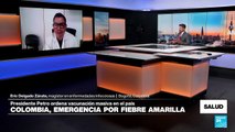 Colombia: emergencia sanitaria y vacunación masiva contra la fiebre amarilla