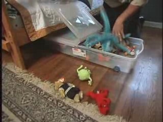 Get Organized Using Storage Totes