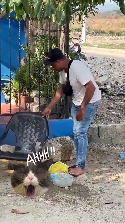 The water with ice #funnyvideos #funnymoments #prankvideos #funnyvideo #funny #prank #funnyprankvideos #fypシ #prankvideo #funnypranks  QZWsY 👎👥🐛 Nguồn: funny.funx