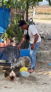 The water with ice #funnyvideos #funnymoments #prankvideos #funnyvideo #funny #prank #funnyprankvideos #fypシ #prankvideo #funnypranks QZWsY 👎👥🐛 Nguồn: funny.funx