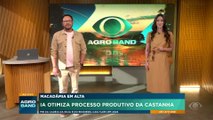 IA otimiza processo produtivo da macadâmia