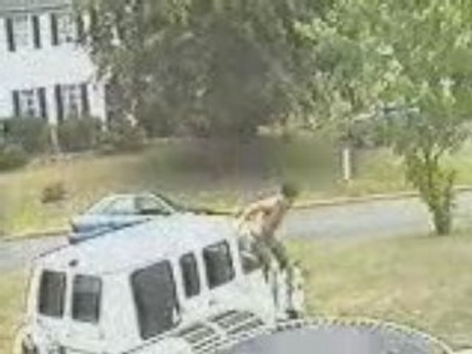 Funny Video - Jackass - Trampoline Pool