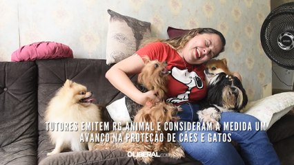 Tutores emitem RG Animal e consideram a medida um avanço na proteção de cães e gatos