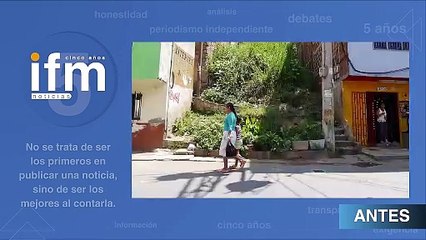 Escaleras Oasis Tropical