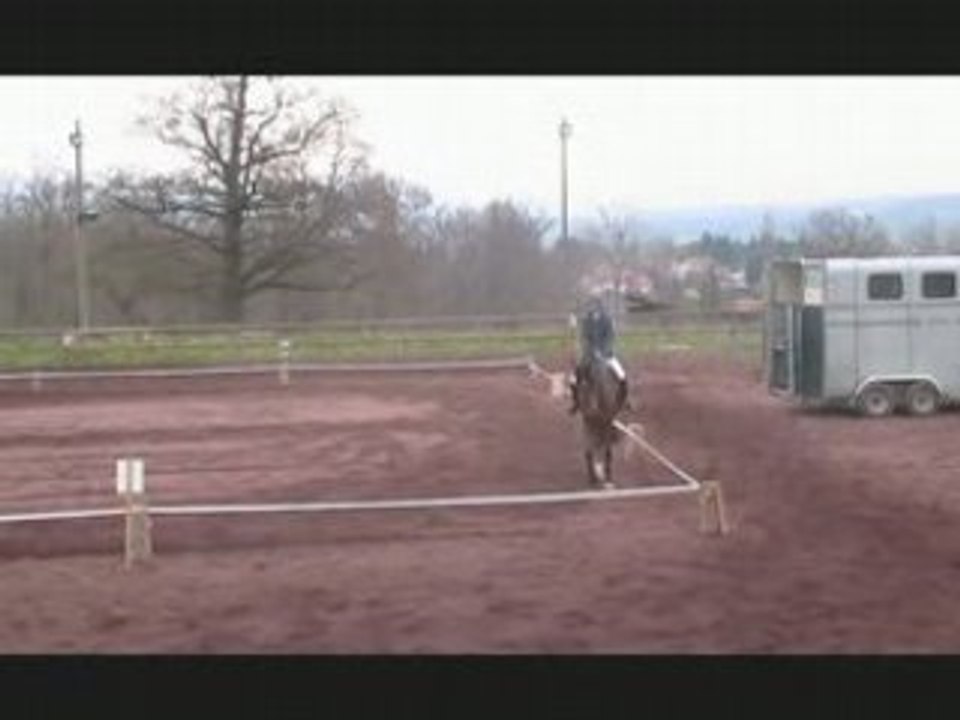 Championnats départementaux de dressage
